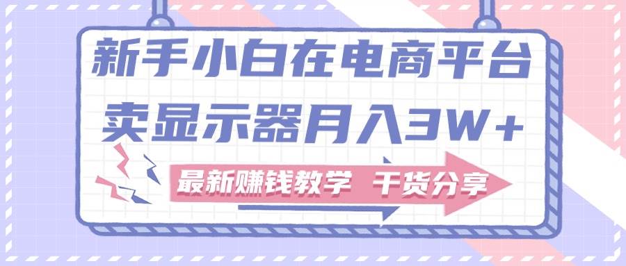 新手小白如何做到在电商平台卖显示器月入3W+，最新赚钱教学干货分享-云峥科技网
