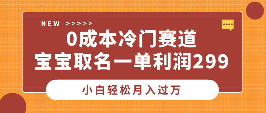 0成本冷门赛道，宝宝取名一单利润299，小白轻松月入过万-云峥科技网