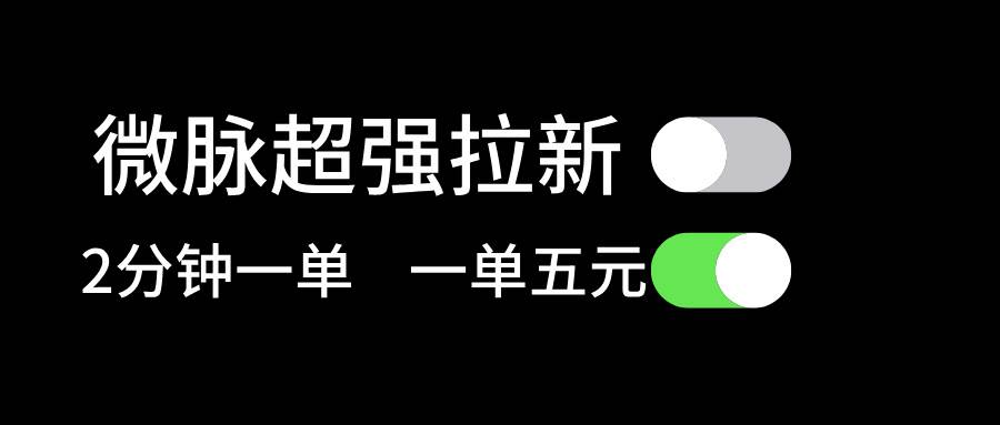 微脉超强拉新， 两分钟1单， 一单利润5块，适合小白-云峥科技网