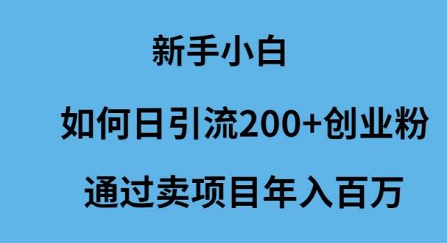 新手小白如何日引流200+创业粉通过卖项目年入百万-云峥科技网