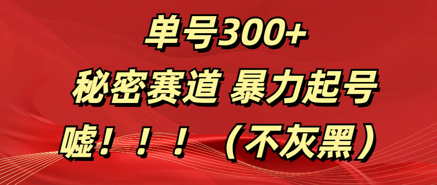 单号300+  秘密赛道 暴力起号  （不灰黑）-云峥科技网