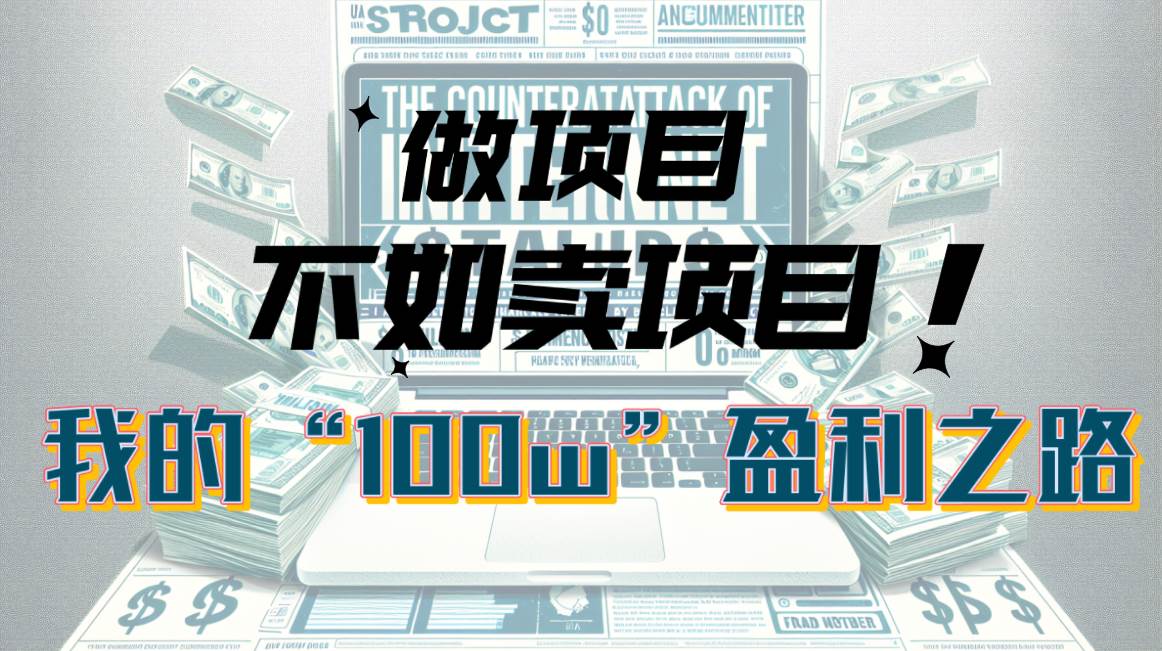 为什么做项目不如卖项目？我的100W+盈利之路-云峥科技网