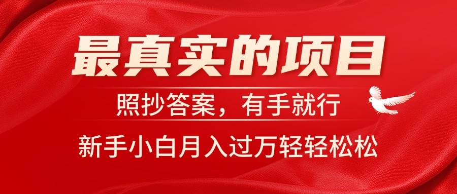 最真实的项目，照抄答案，有手就行，新手小白月入过万轻轻松松-云峥科技网