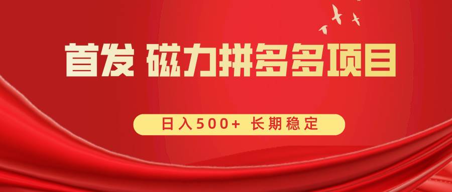 首发 磁力拼多多自撸  日入500+-云峥科技网