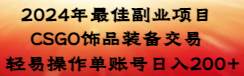2024年最佳副业项目 CSGO饰品装备交易 轻易操作单账号日入200+-云峥科技网