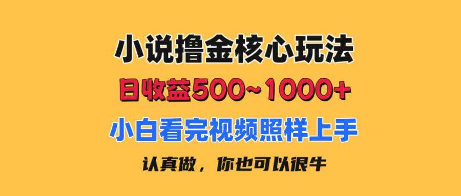 小说撸金核心玩法，日收益500-1000+，小白看完照样上手，0成本有手就行-云峥科技网