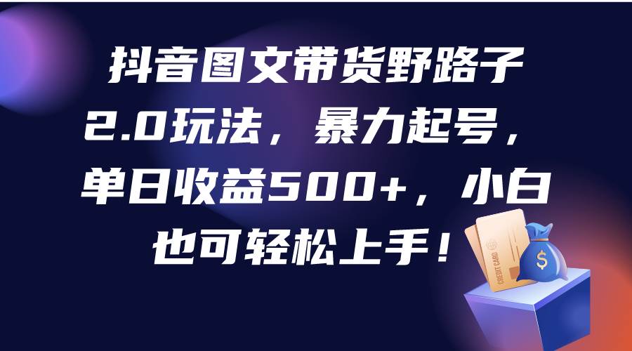 抖音图文带货野路子2.0玩法，暴力起号，单日收益500+，小白也可轻松上手！-云峥科技网