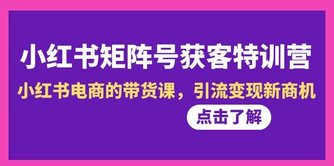 小红书-矩阵号获客特训营-第10期，小红书电商的带货课，引流变现新商机-云峥科技网