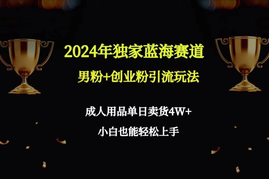 2024年独家蓝海赛道男粉+创业粉引流玩法，成人用品单日卖货4W+保姆教程-云峥科技网
