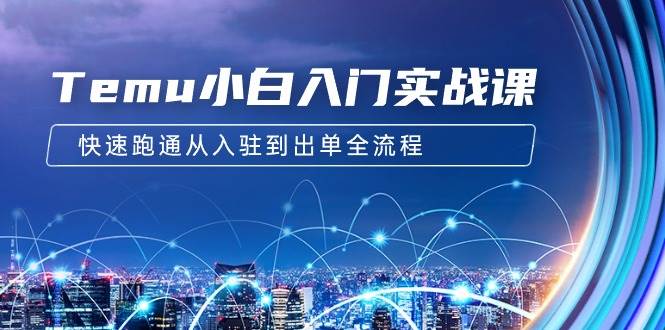 Temu小白入门实战课：跨境拼多多电商培训 快速跑通从入驻到出单全流程-12节-云峥科技网