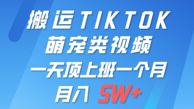 一键搬运TIKTOK萌宠类视频 一部手机即可操作 所有平台均可发布 轻松月入5W+-云峥科技网