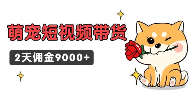 东哲日记·萌宠短视频带货，2天佣金9000+-云峥科技网