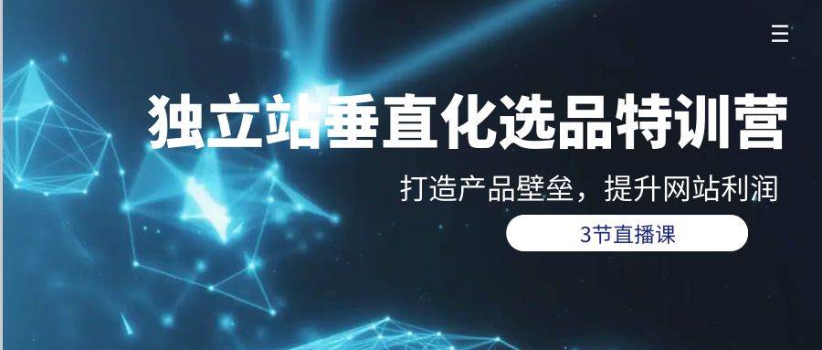 独立站-垂直化选品训练营，打造产品壁垒，提升网站利润（3节直播课）-云峥科技网