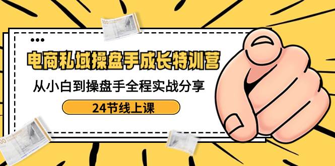 电商私域-操盘手成长特训营：从小白到操盘手全程实战分享-24节线上课-云峥科技网