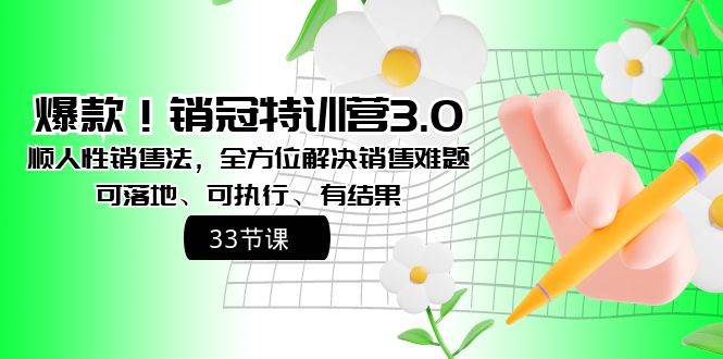 爆款！销冠特训营3.0之顺人性销售法，全方位解决销售难题、可落地、可执行、有结果-云峥科技网
