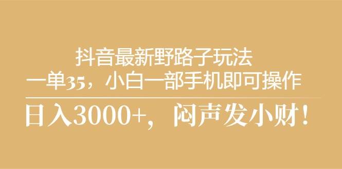 抖音最新野路子玩法，一单35，小白一部手机即可操作，，日入3000+，闷...-云峥科技网