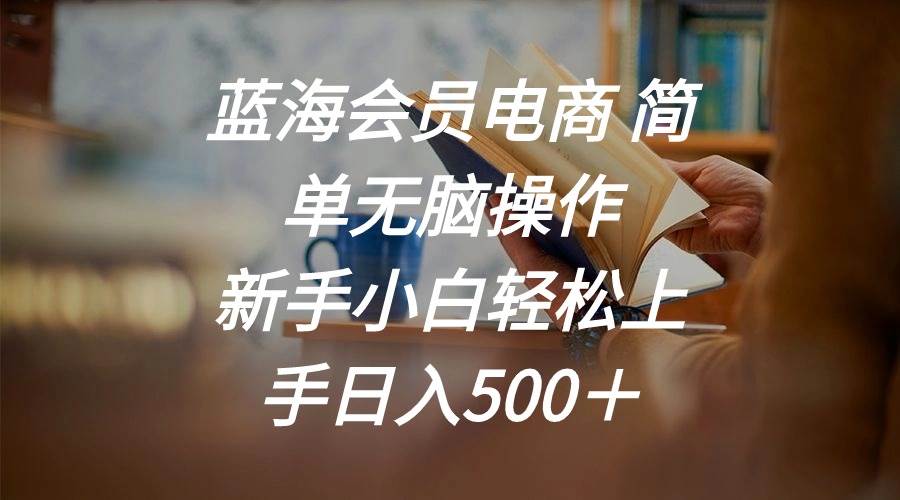 蓝海会员电商 简单无脑操作 新手小白轻松上手日入500＋-云峥科技网