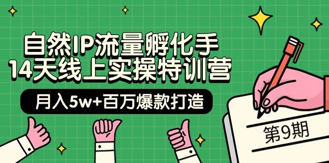 自然IP流量孵化手 14天线上实操特训营【第9期】月入5w+百万爆款打造 (74节)-云峥科技网