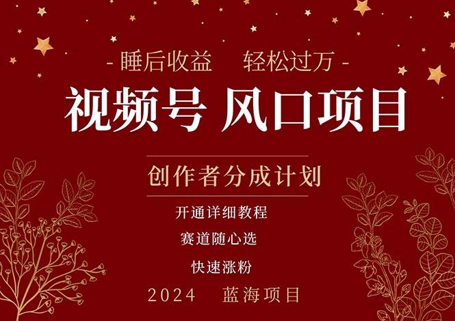 拥有睡眠收益的微信视频号大风口项目，轻松月入过万+，多赛道选择，可...-云峥科技网