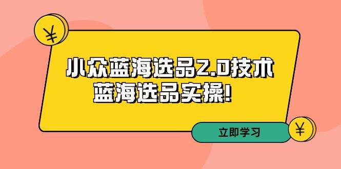 拼多多培训第33期：小众蓝海选品2.0技术-蓝海选品实操！-云峥科技网