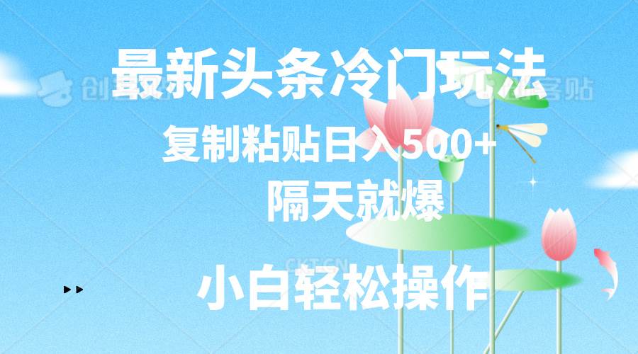 最新头条冷门玩法，隔天就爆，复制粘贴日入500+-云峥科技网