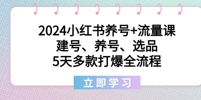 2024小红书养号+流量课：建号、养号、选品，5天多款打爆全流程-云峥科技网
