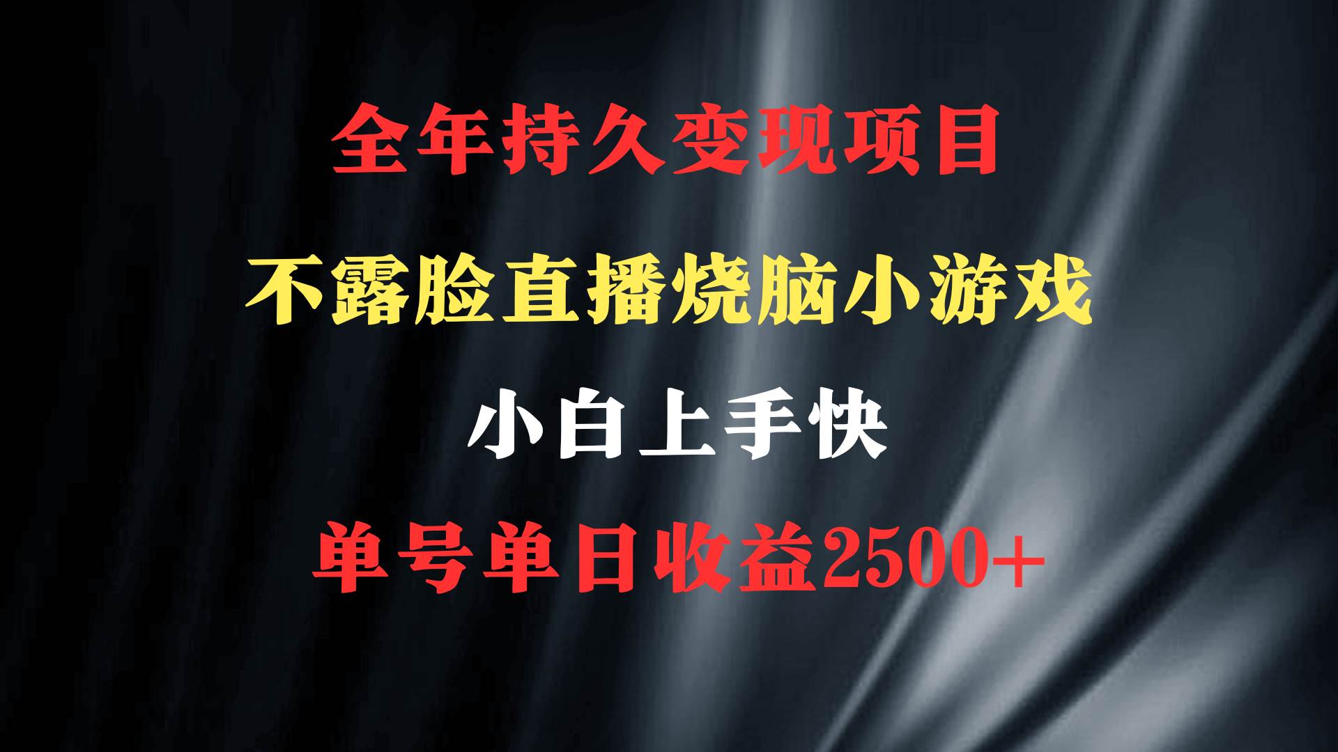 2024年 最优项目，烧脑小游戏不露脸直播  小白上手快 无门槛 一天收益2500+-云峥科技网