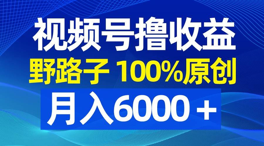 视频号野路子撸收益，100%原创，条条爆款，月入6000＋-云峥科技网