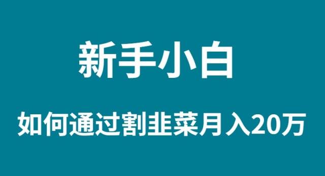 新手小白如何通过割韭菜月入 20W-云峥科技网