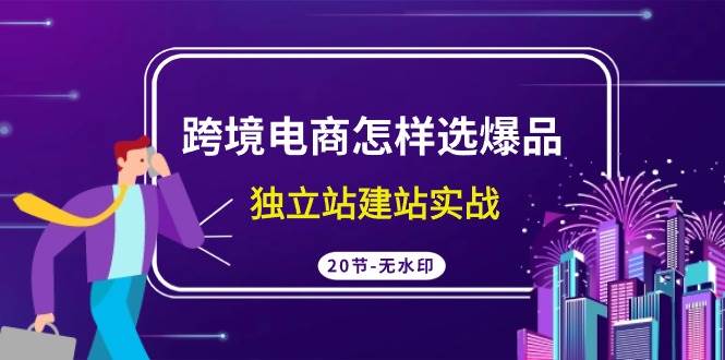 跨境电商怎样选爆品，独立站建站实战（20节高清无水印课）-云峥科技网