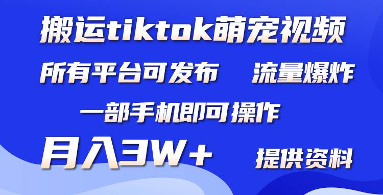 搬运Tiktok萌宠类视频，一部手机即可。所有短视频平台均可操作，月入3W+-云峥科技网