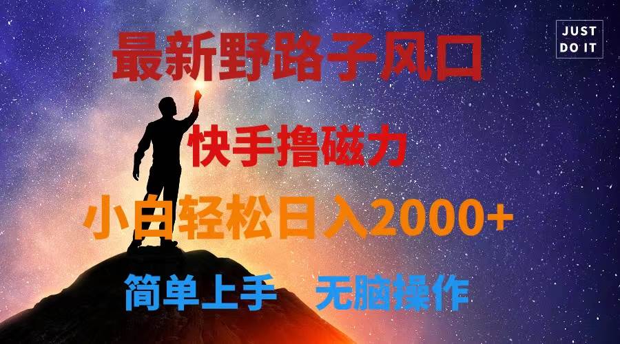 最新风口！快手撸磁力，野路子，小白无脑操作日入2000+-云峥科技网