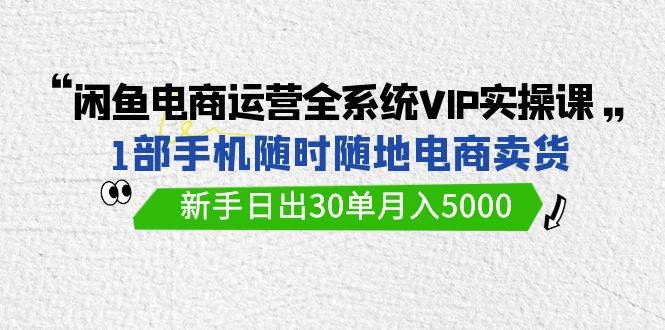 闲鱼电商运营全系统VIP实战课，1部手机随时随地卖货，新手日出30单月入5000-云峥科技网