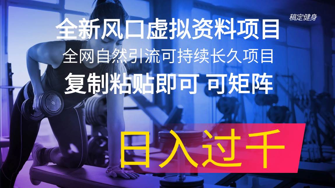 全新风口虚拟资料项目 全网自然引流可持续长久项目 复制粘贴即可可矩阵...-云峥科技网