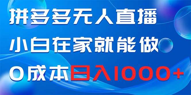 拼多多无人直播，小白在家就能做，0成本日入1000+-云峥科技网