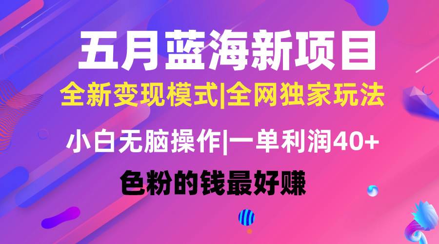 五月蓝海项目全新玩法，小白无脑操作，一天几分钟，矩阵操作，月入4万+-云峥科技网