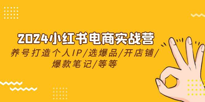 2024小红书电商实战营，养号打造IP/选爆品/开店铺/爆款笔记/等等（24节）-云峥科技网