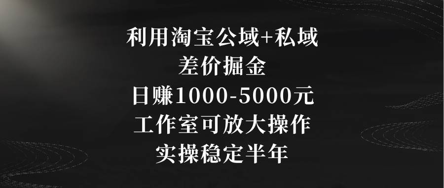 利用淘宝公域+私域差价掘金，日赚1000-5000元，工作室可放大操作，实操...-云峥科技网