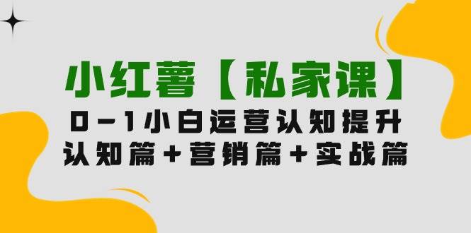 小红薯【私家课】0-1玩赚小红书内容营销，认知篇+营销篇+实战篇（11节课）-云峥科技网
