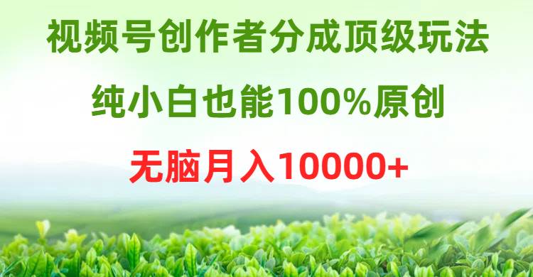 视频号创作者分成顶级玩法，纯小白也能100%原创，无脑月入10000+-云峥科技网