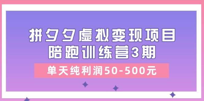 某收费培训《拼夕夕虚拟变现项目陪跑训练营3期》单天纯利润50-500元-云峥科技网
