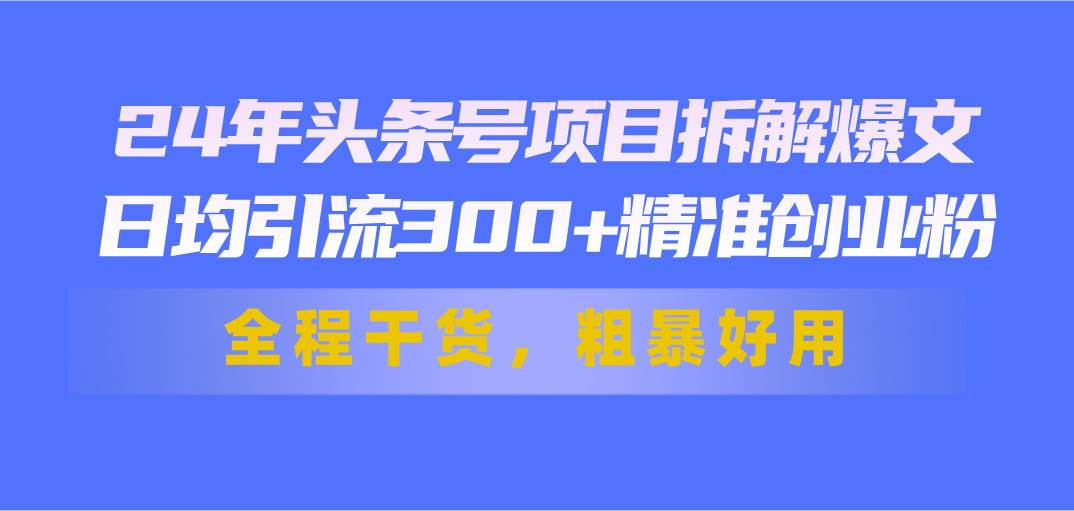 24年头条号项目拆解爆文，日均引流300+精准创业粉，全程干货，粗暴好用-云峥科技网