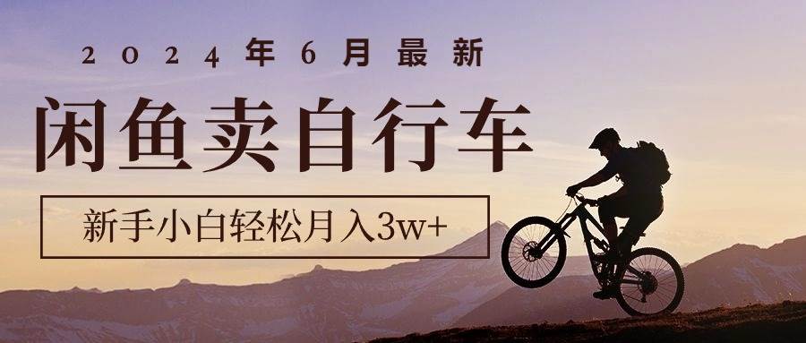 2024年6月最新闲鱼卖自行车，新手小白轻松月入3w+项目-云峥科技网