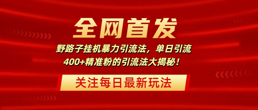 全网首发，野路子挂机暴力引流法，单日引流400+精准粉的引流法大揭秘！-云峥科技网