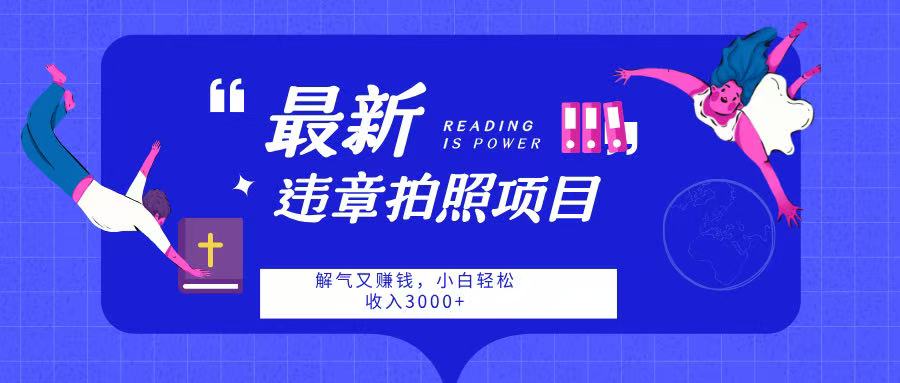 最新违章拍照项目，解气又赚钱，随手一拍，轻松收入3000-云峥科技网