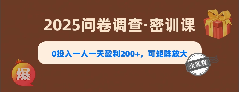 2025《问卷调查》0投入一人一天盈利200+，可矩阵放大-云峥科技网