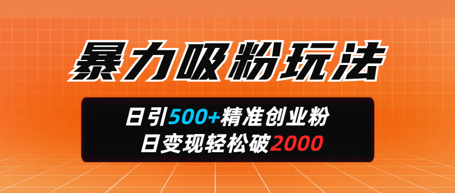 暴力吸粉玩法，日引500+精准创业粉，日变现轻松破2000-云峥科技网