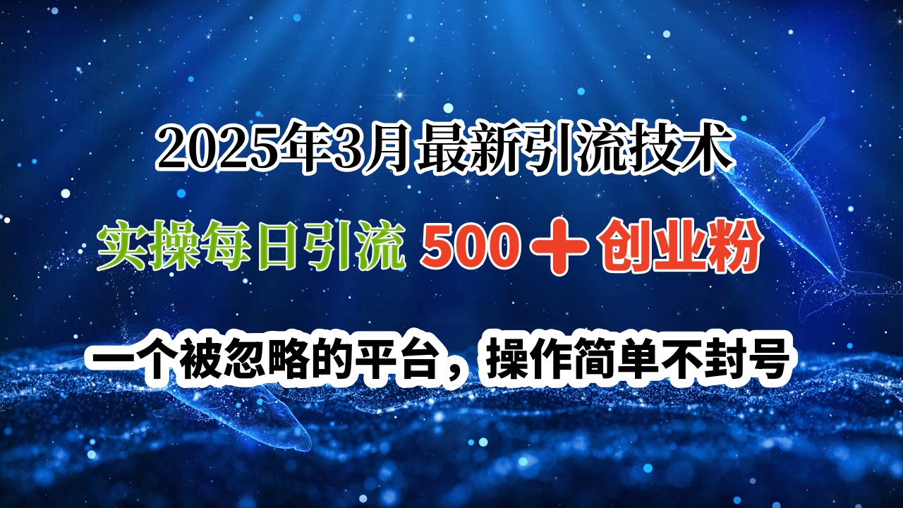 2025年3月最新引流技术，实操每日引流500➕创业粉，一个被忽略的平台，操作简单不封号-云峥科技网