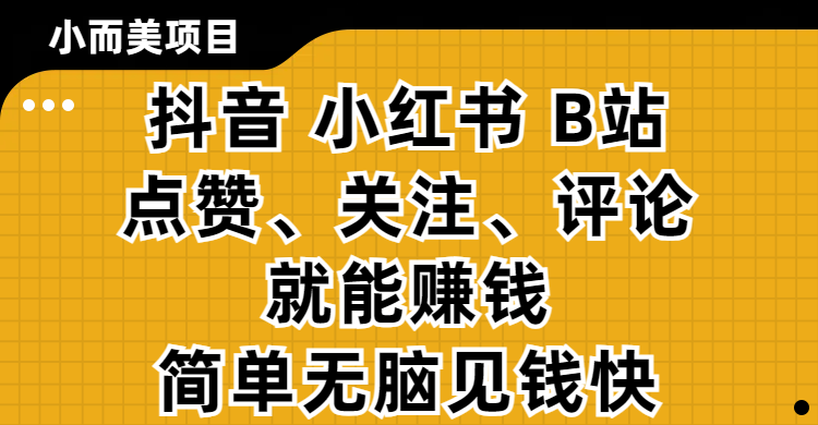 小而美的项目，抖音、小红书、B站视频点赞、关注、评论就能赚钱，简单无脑立见收益！妥妥的零撸项目-云峥科技网