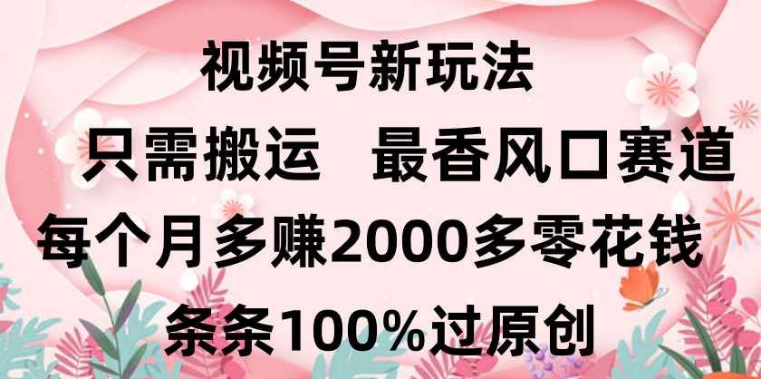 日入2000+，条条100%过原创，视频号最香风口赛道，小白轻松上手-云峥科技网